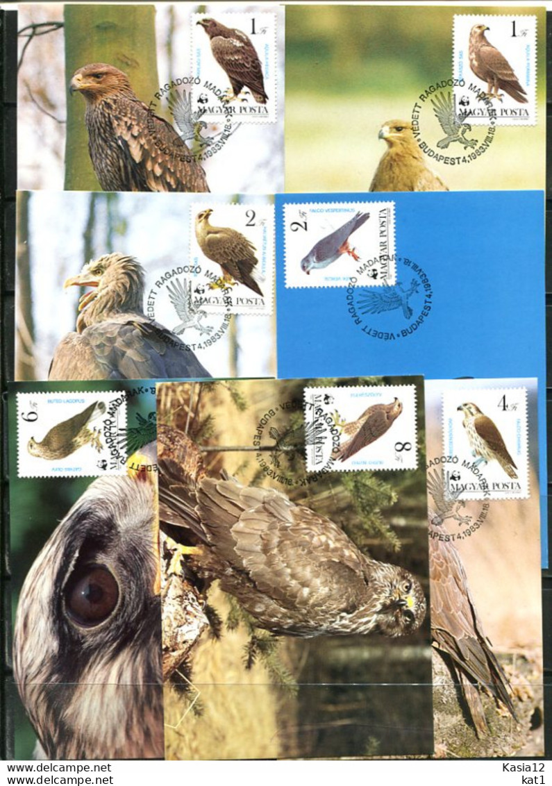 A51353)WWF-Maximumkarten Vogel: Ungarn 3624 - 3630 A - Cartoline Maximum