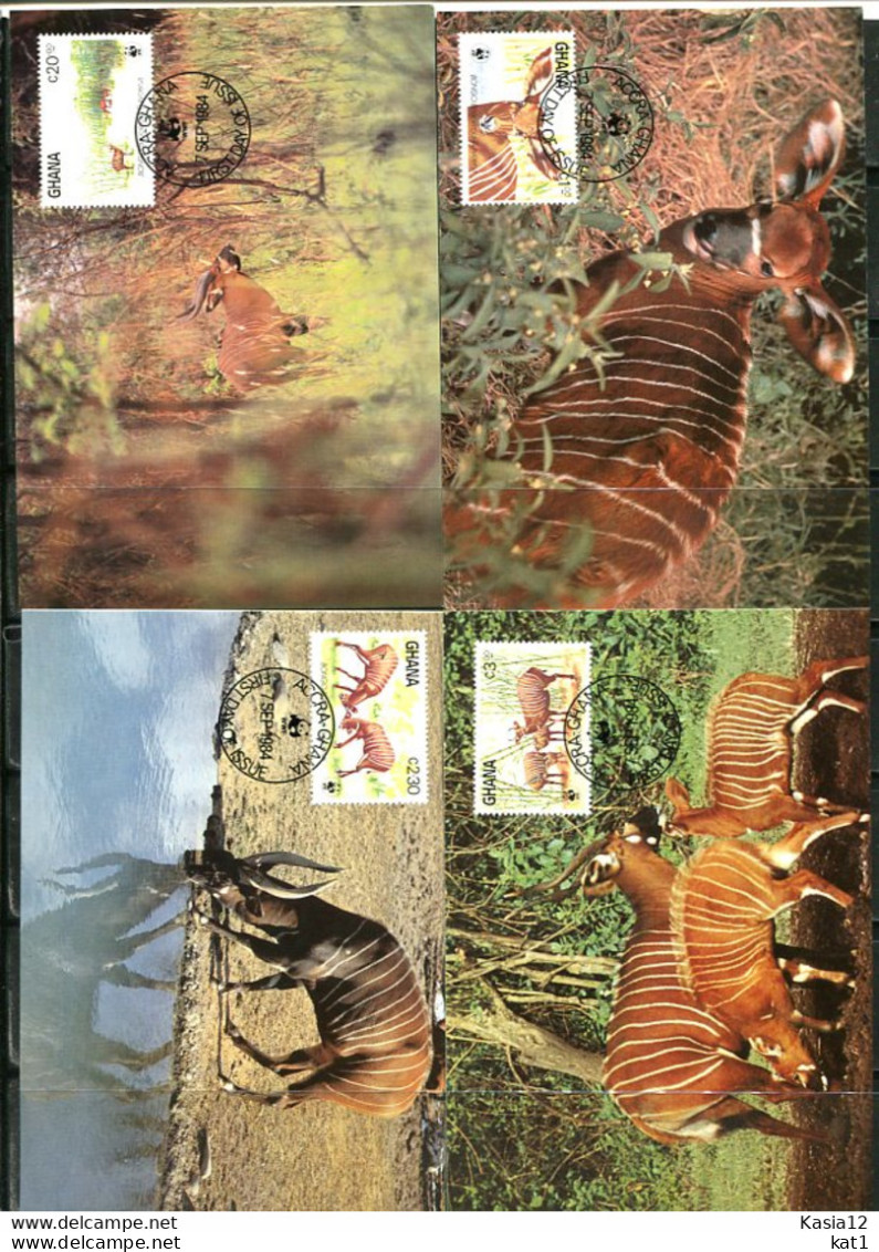 A51359)WWF-Maximumkarten Saeugetiere: Ghana 1060 - 1063 - Maximumkarten