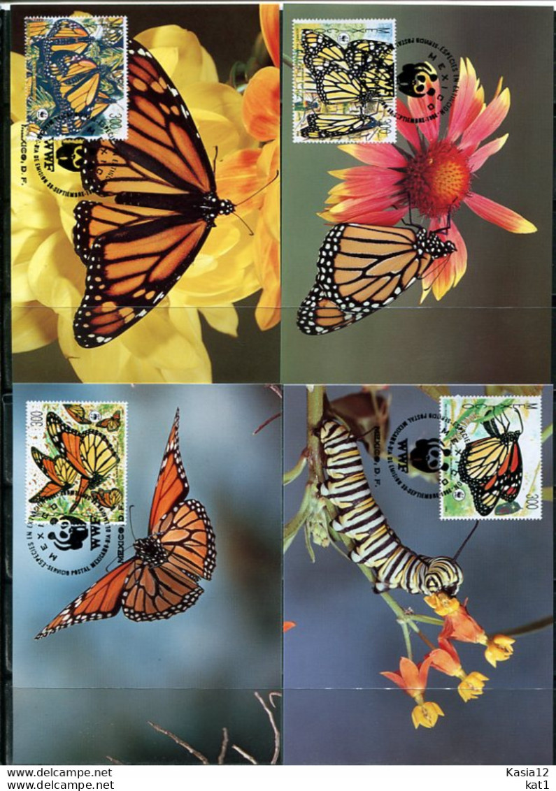 A51549)WWF-Maximumkarten Schmetterlinge: Mexiko 2095 - 2098 - Maximum Cards