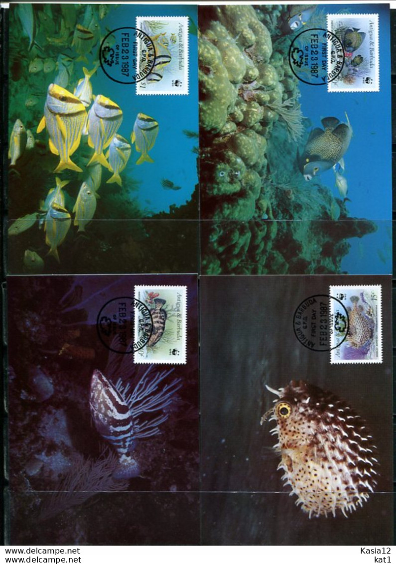 A51552)WWF-Maximumkarten Fische: Antigua + Barbuda 1010 - 1013 - Maximumkarten