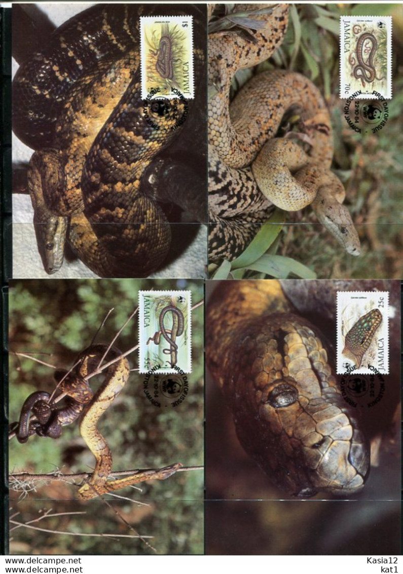 A51562)WWF-Maximumkarten Reptilien: Jamaika 591 - 594 - Maximum Cards