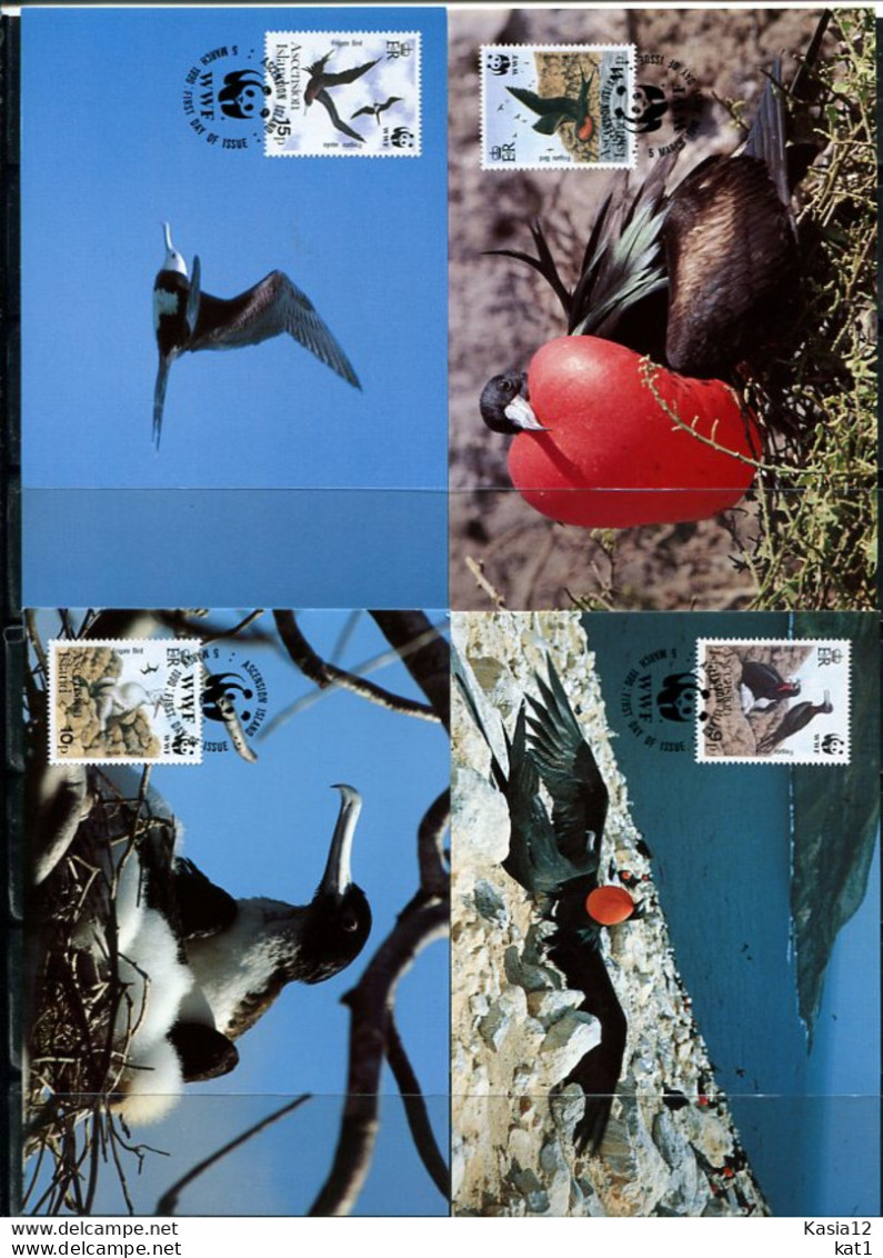 A51571)WWF-Maximumkarten Vogel: Ascension 521 - 524 - Cartes-maximum