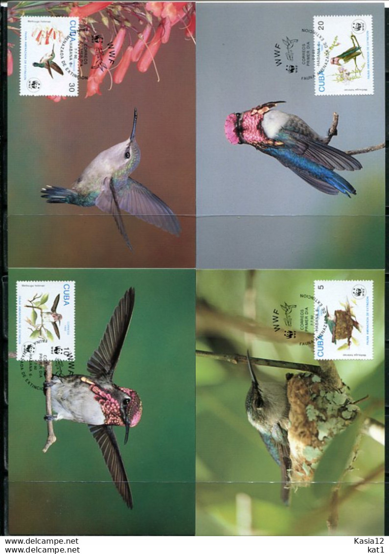 A51588)WWF-Maximumkarten Vogel: Kuba 3589 - 3592 - Cartes-maximum