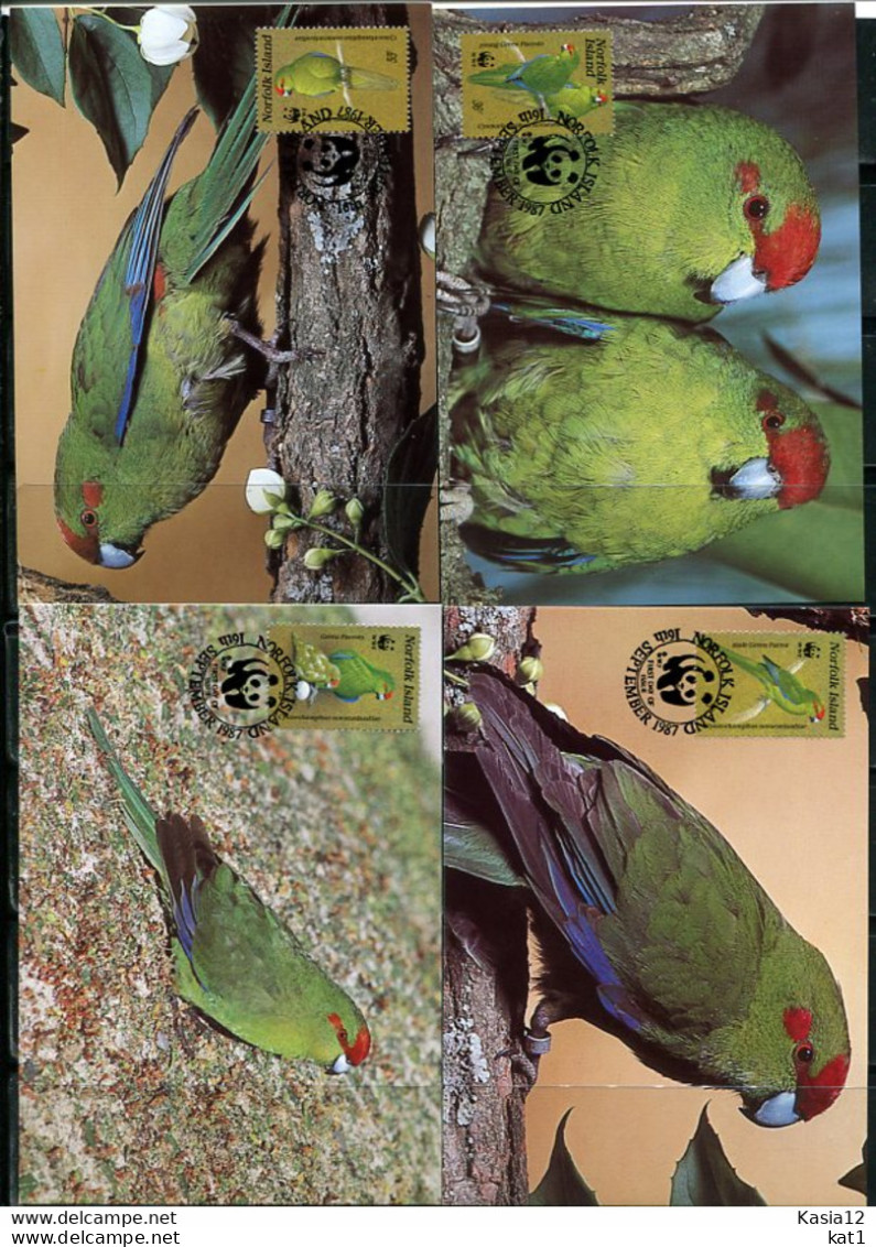 A51595)WWF-Maximumkarten Vogel: Norfolk-Inseln 421 - 424 - Tarjetas – Máxima