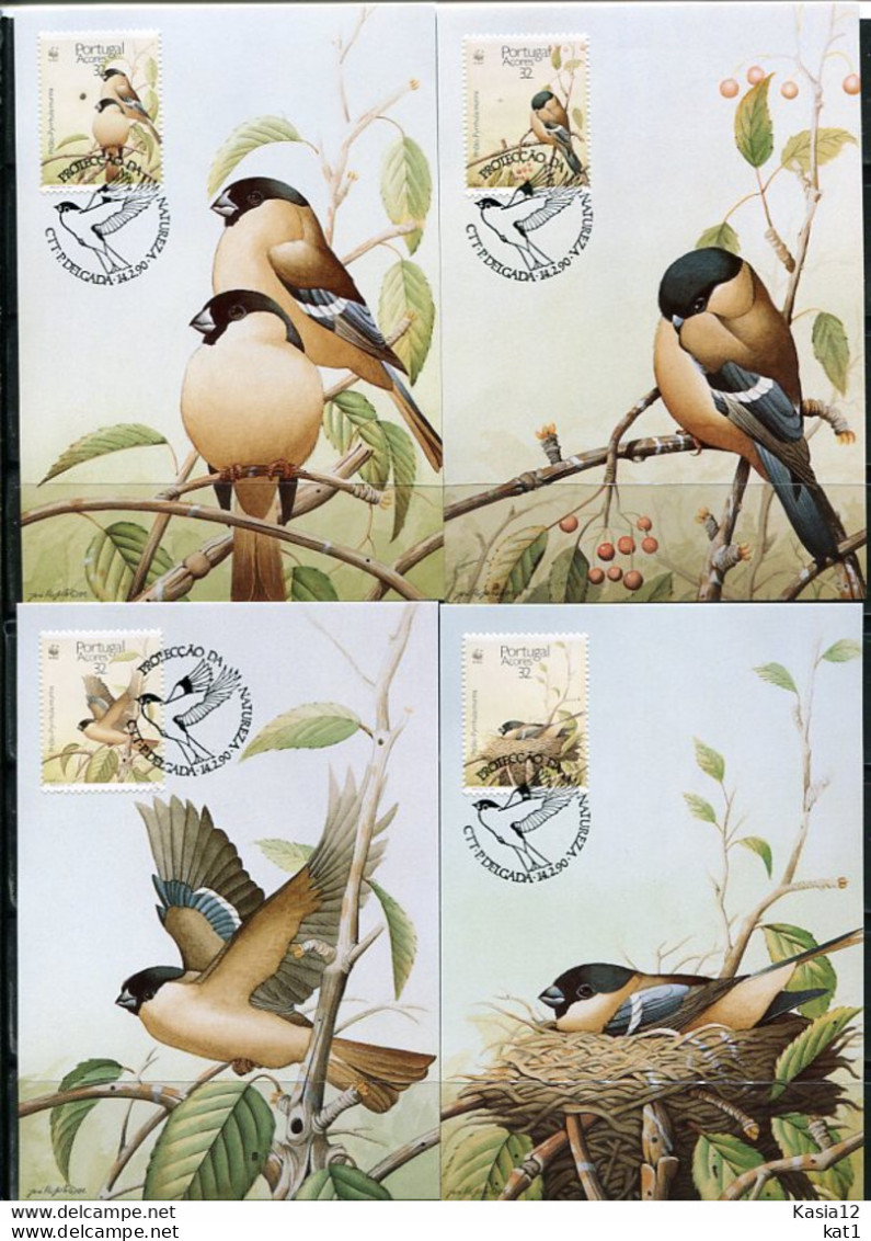 A51599)WWF-Maximumkarten Vogel: Azoren 405 - 408 - Tarjetas – Máxima