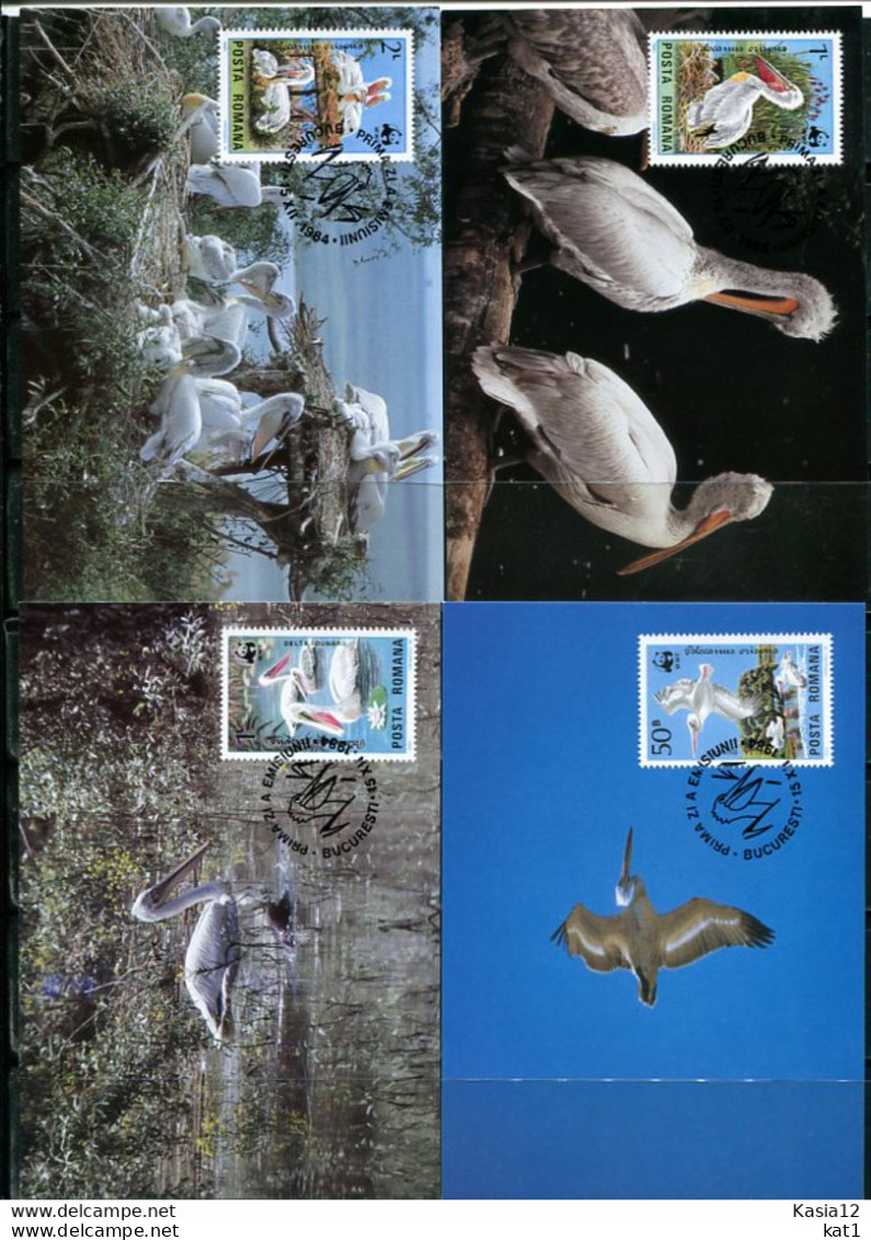 A51601)WWF-Maximumkarten Vogel: Rumaenien 4104 - 4107 - Maximum Cards