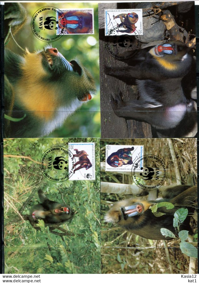 A51611)WWF-Maximumkarten Saeugetiere: Aequatorialguinea 1731 - 1734 - Maximum Cards