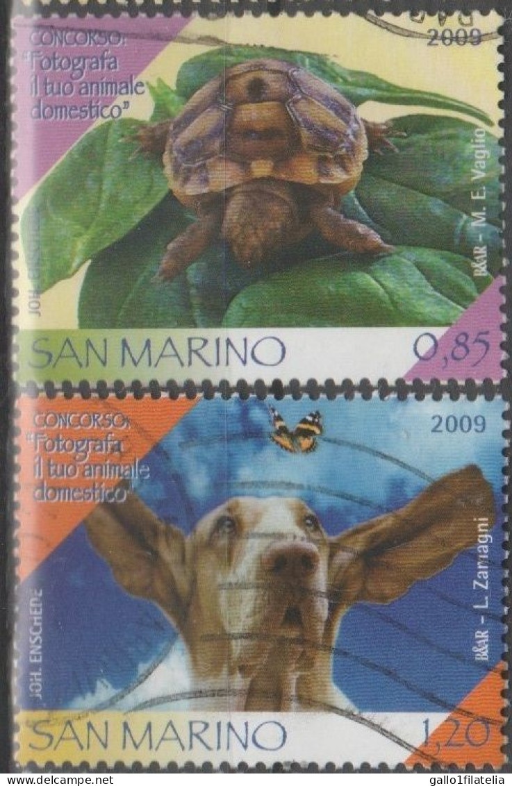 2009 - SAN MARINO - CONCORSO FOTOGRAFA IL TUO ANIMALE / PHOTOGRAPH YOUR PET - COMPETITION - USATO. - Used Stamps