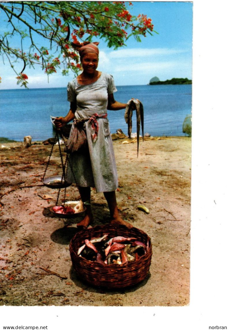 TRINITE - TROIS RIVIERE - Martinique - 2 CARTES -pêcheurs -1966 - A1 - La Trinite