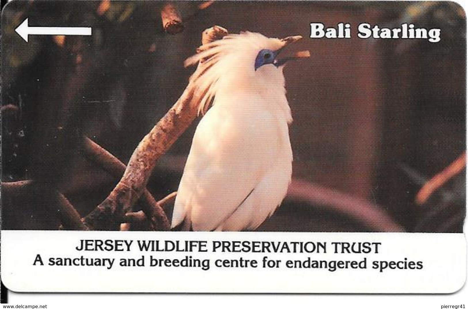 CARTE-MAGNETIQUE-JERSEY-40U-BALI STARLING-TBE- - Other & Unclassified