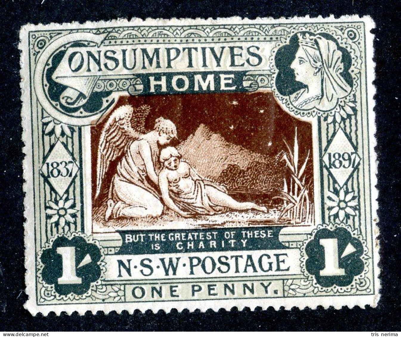 239 BCXX 1897 Scott # B1 Mint* (offers Welcome) - Mint Stamps