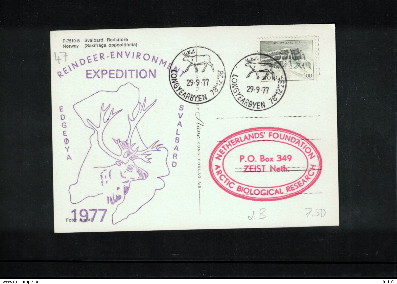 Norway 1977 Svalbard - Reindeer Environment Expedition  - Netherlands Foundation Interesting Postcard - Covers & Documents