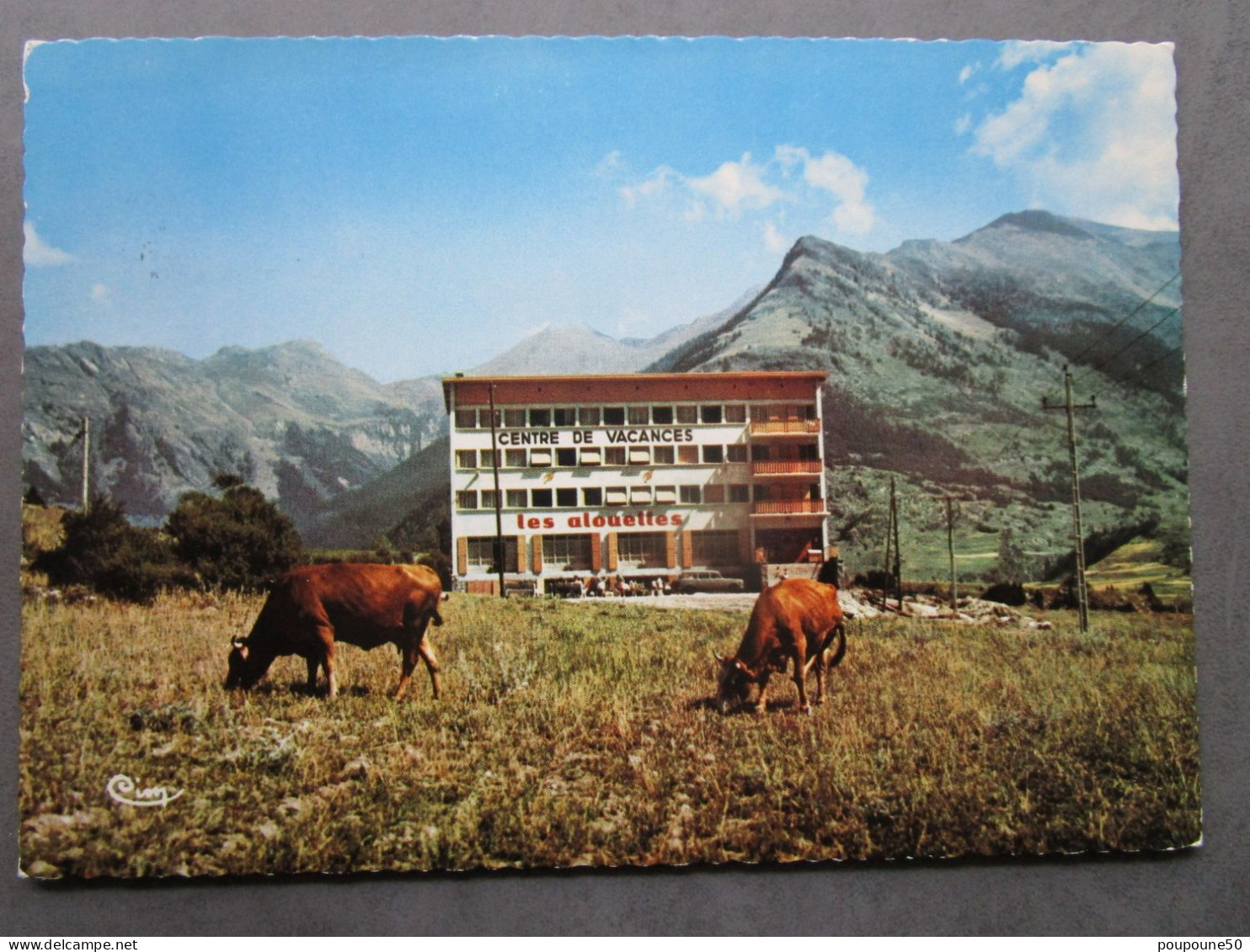 CP 73 Savoie SOLLIERES Sardières Lanslebourg Bramans Val Cenis Alt 1250 M LES ALOUETTES Centre De Vacances Vaches 1971 - Val Cenis