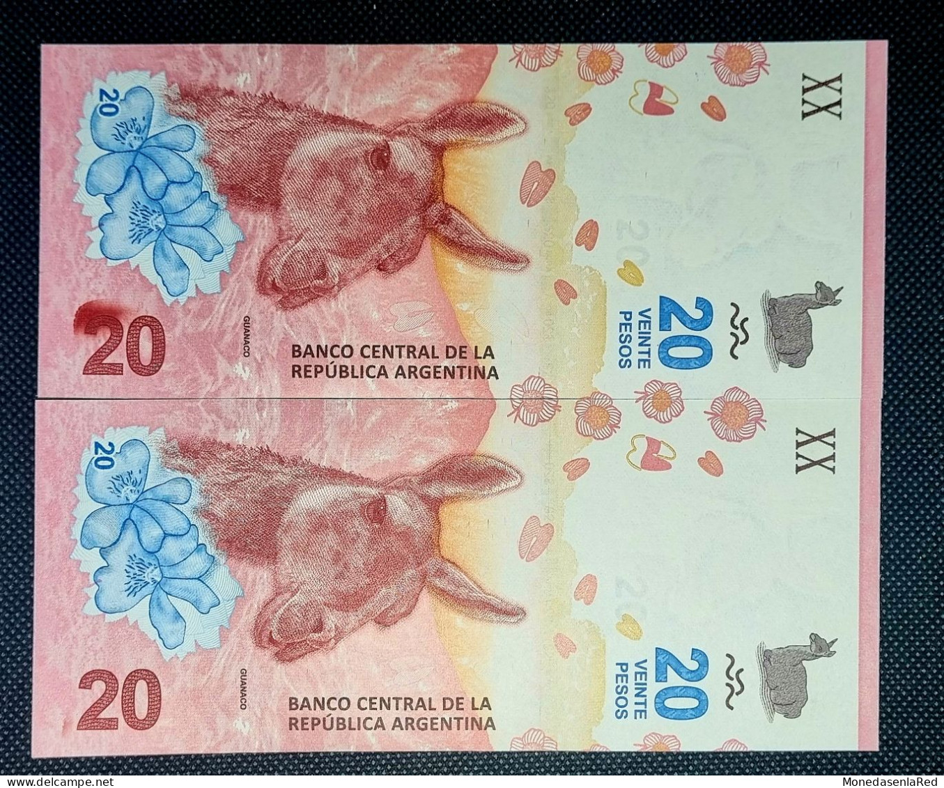 ARGENTINA 20 PESOS 2017. PAREJA CORRELATIVA SERIE B. SC / UNC. P-361a - Argentine