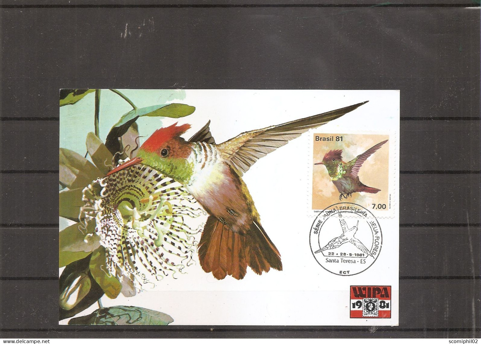 Colibris ( CM Du Brésil De 1981 à Voir) - Hummingbirds