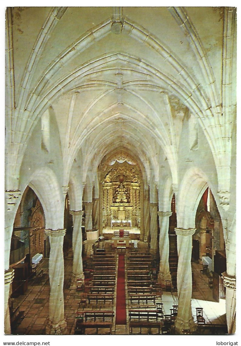 INTERIOR DE SANTA MARIA MAGDALENA.- OLIVENZA - BADAJOZ.- ( EXTREMADURA - ESPAÑA ). - Badajoz