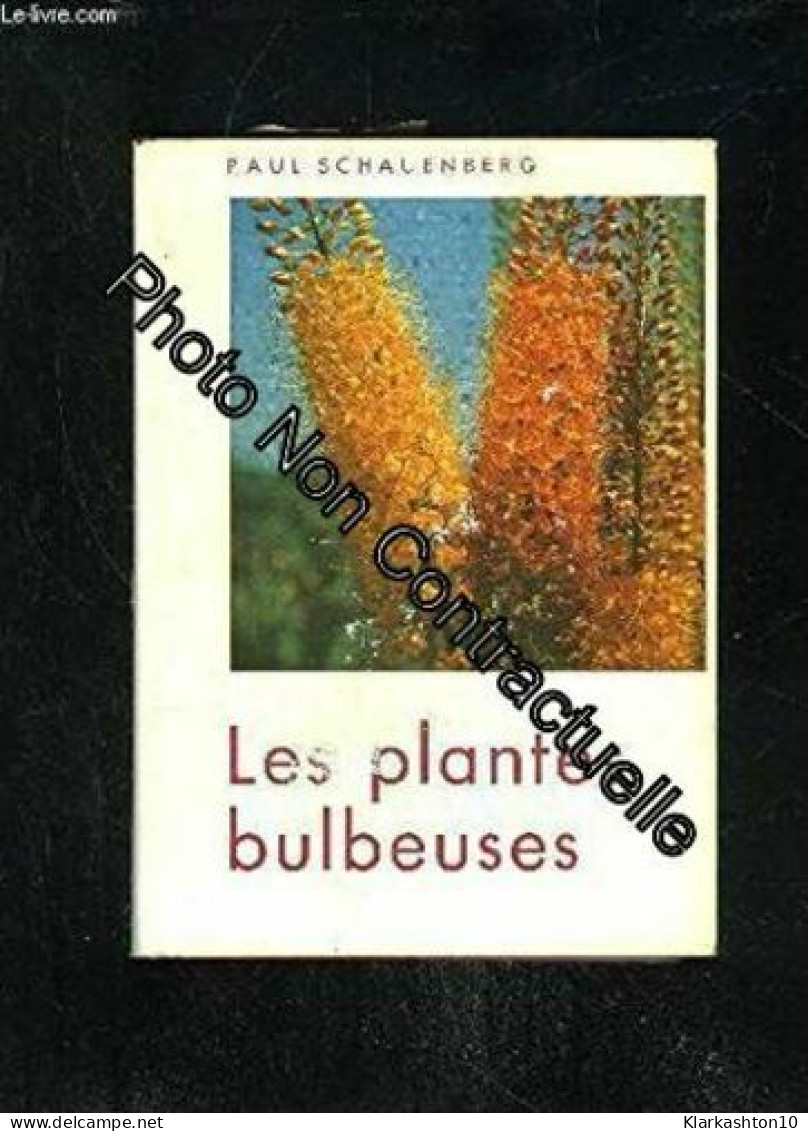 Les Plantes Bulbeuses - Other & Unclassified