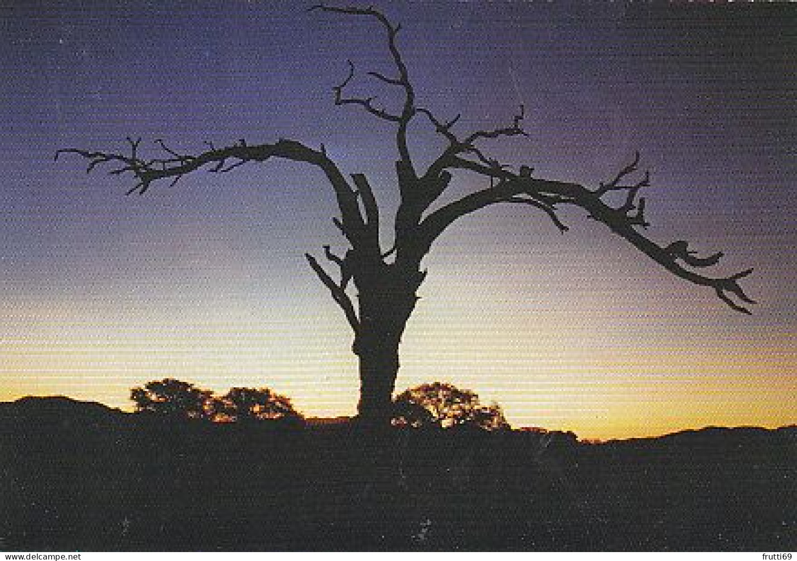 AK 185495 NAMIBIA - Auf Einer Abgelegenen Farm Bei Helmeringhausen Am Rande Der Namib - Namibia