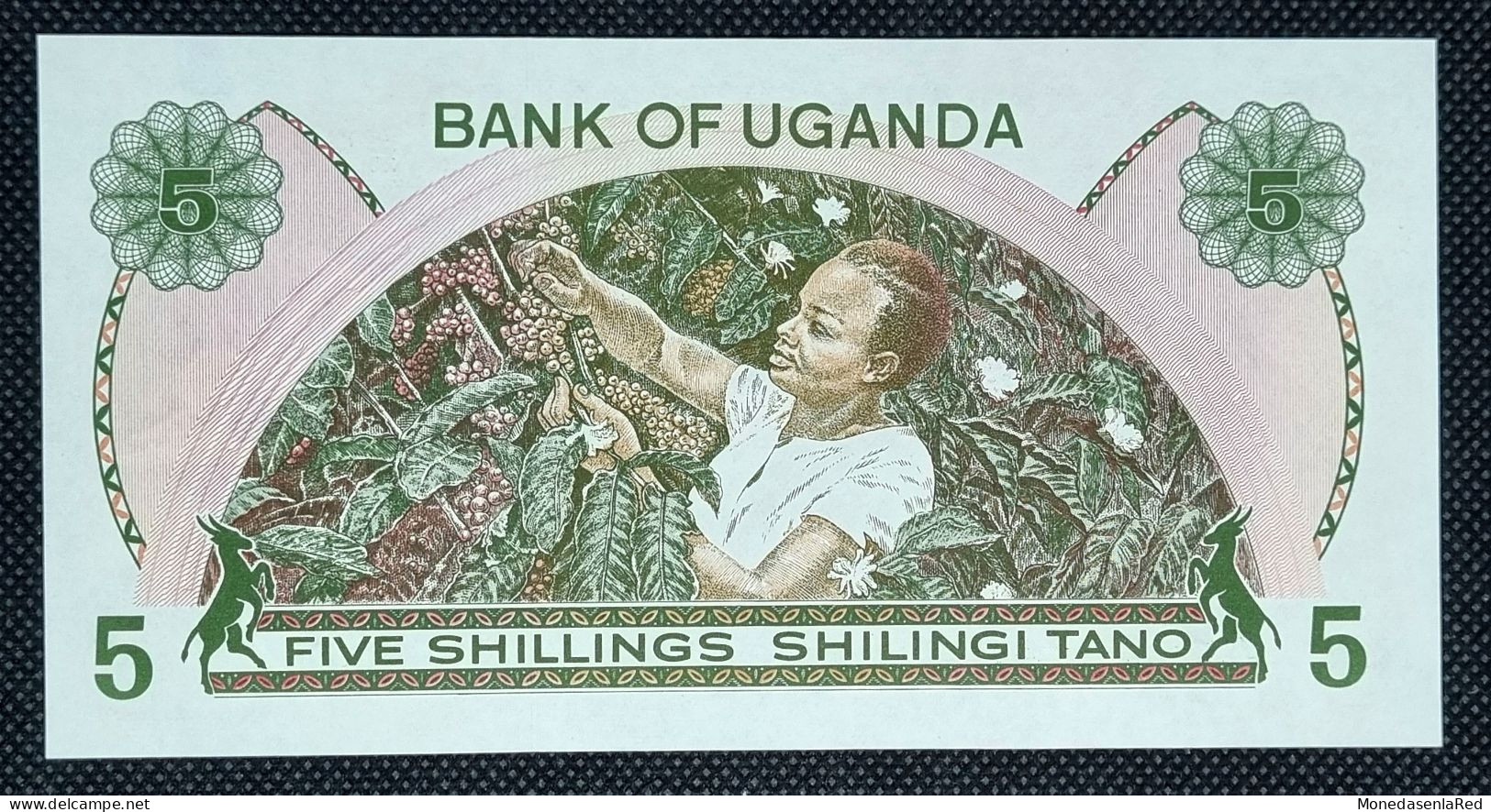 UGANDA 5 SHILLINGS AÑO 1982 SC/UNC. P-15 - Oeganda