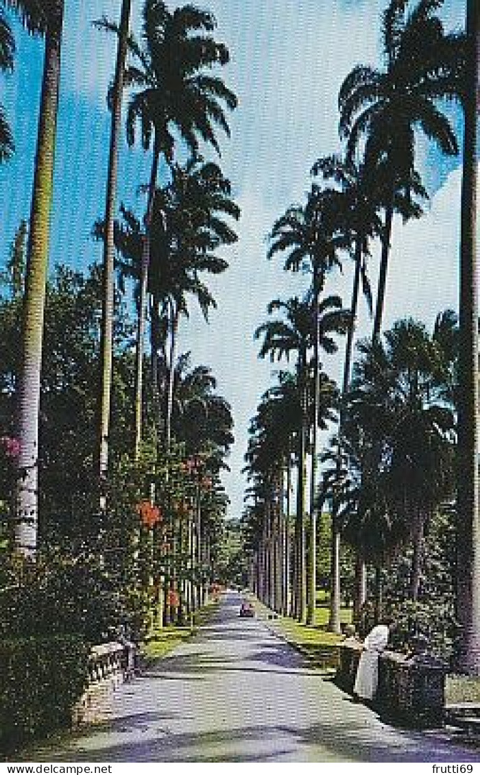 AK 185547 BARBADOS - St. John - Driveway - Codrington College - Barbades