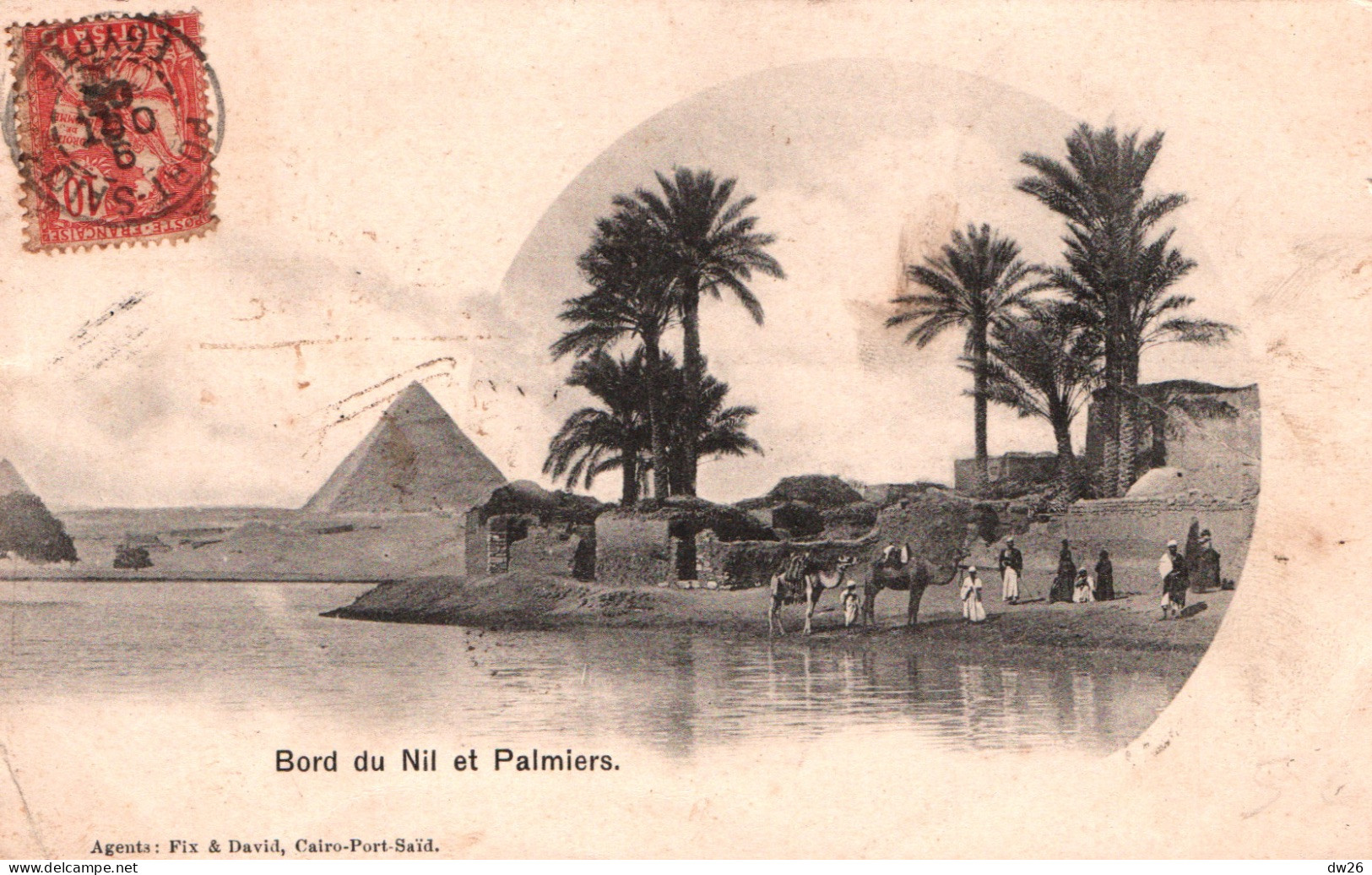 Egypte, Bord Du Nil Et Palmiers, Pyramides Et Chameaux - Carte Fin & David Dos Simple - Pyramides