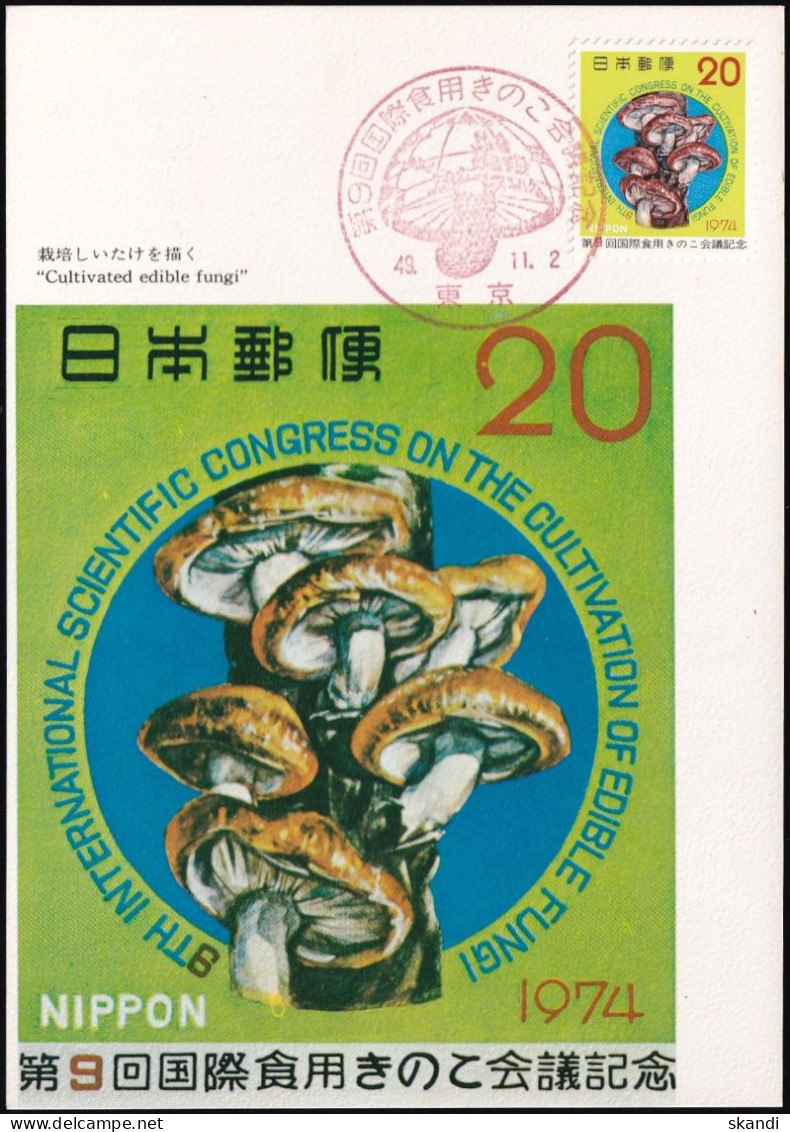 JAPAN 1974 Mi-Nr. 1230 Maximumkarte MK/MC No. 252 - Maximum Cards