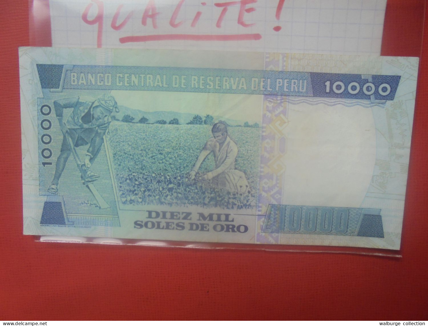 PEROU 10.000 SOLES 1981 Peu Circuler Belle Qualité (B.31) - Pérou