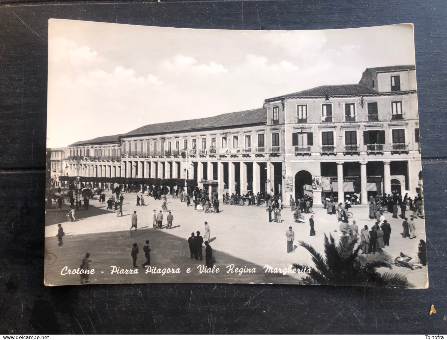 CROTONE ( CATANZARO ) PIAZZA PITAGORA E VIALE REGINA MARGHERITA - Crotone