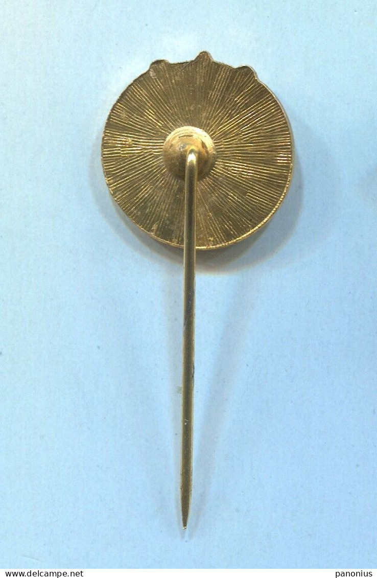 Archery Shooting Tiro Con Larco, Yugoslavia Federation, Vintage Pin Badge Abzeichen - Tiro Con L'Arco