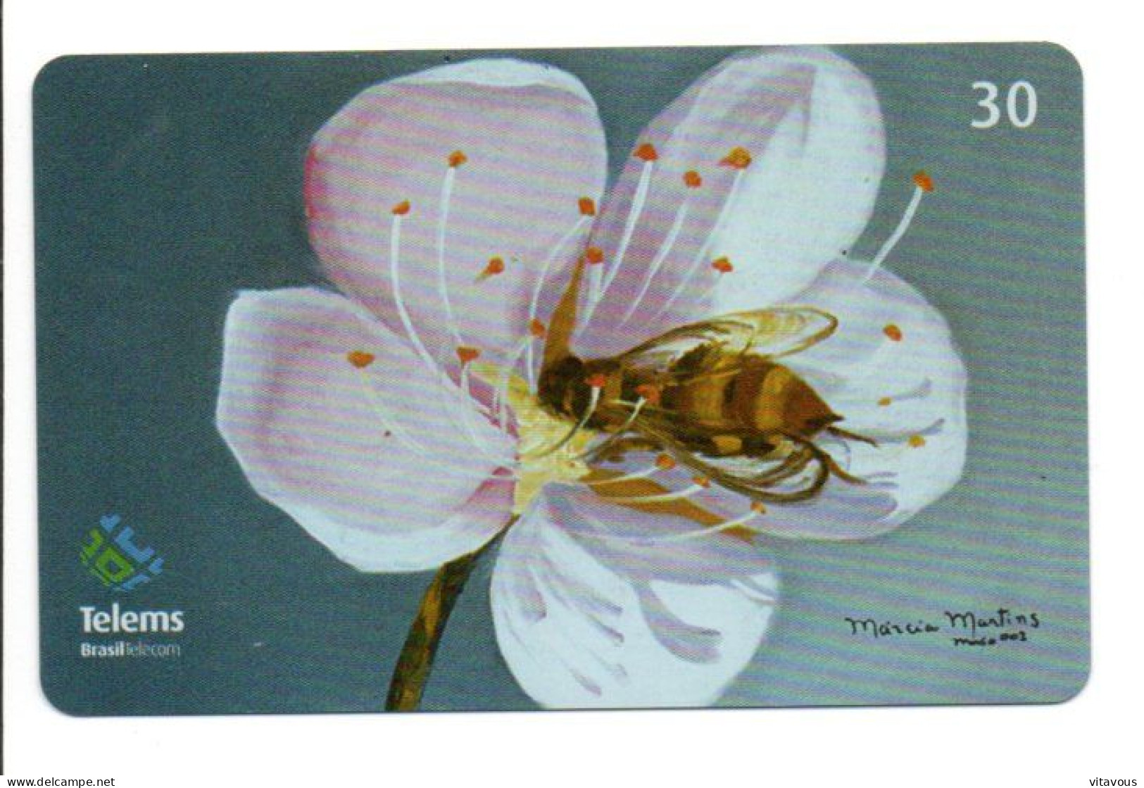 Abeille Fleur Fleurs Flower Télécarte Brésil Telefonkarte Phonecard (F 264) - Brasil