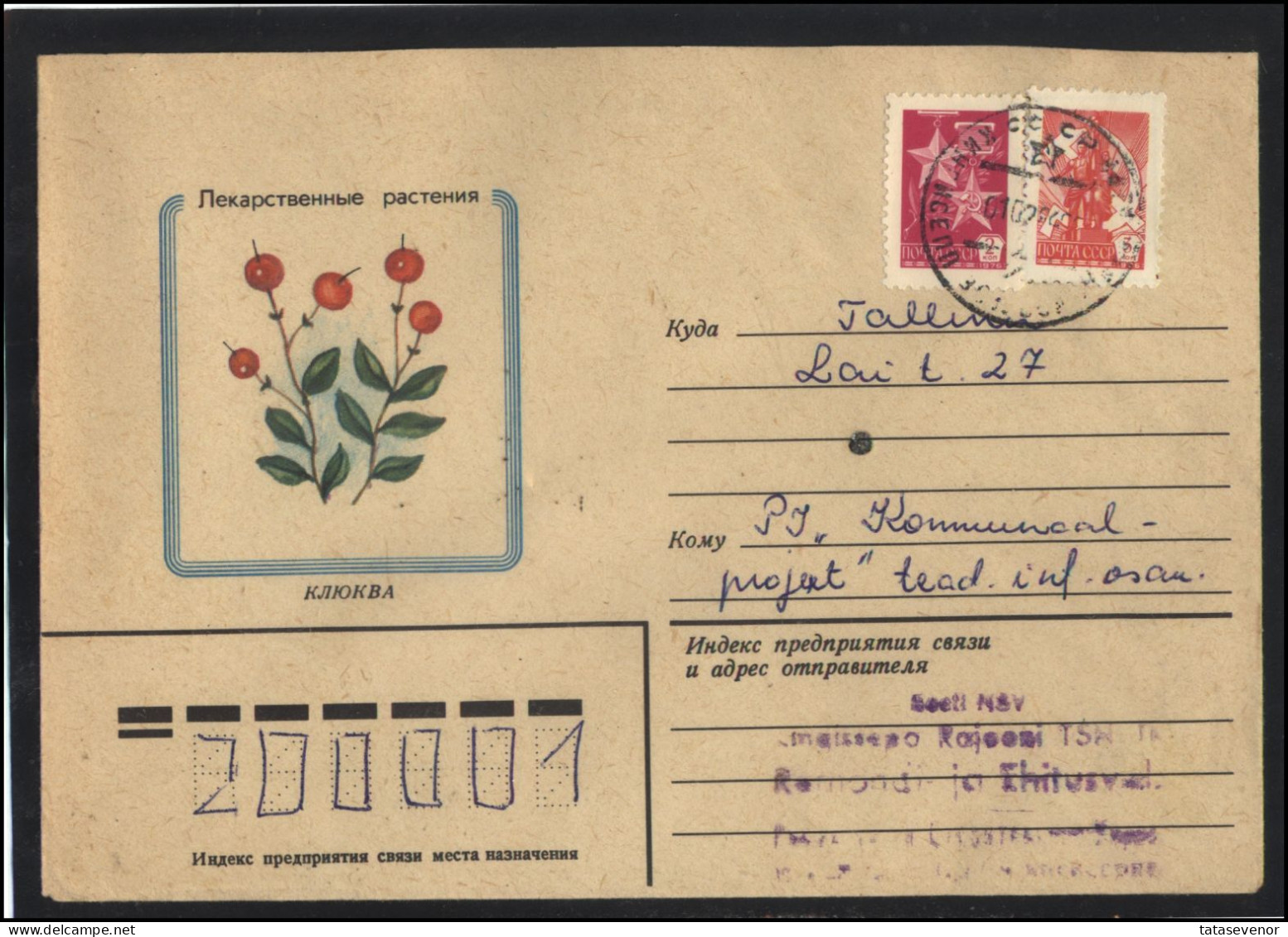 RUSSIA USSR Stationery USED ESTONIA AMBL 1261 KINGISSEPP Flora Plants Herbs Cranberry - Unclassified