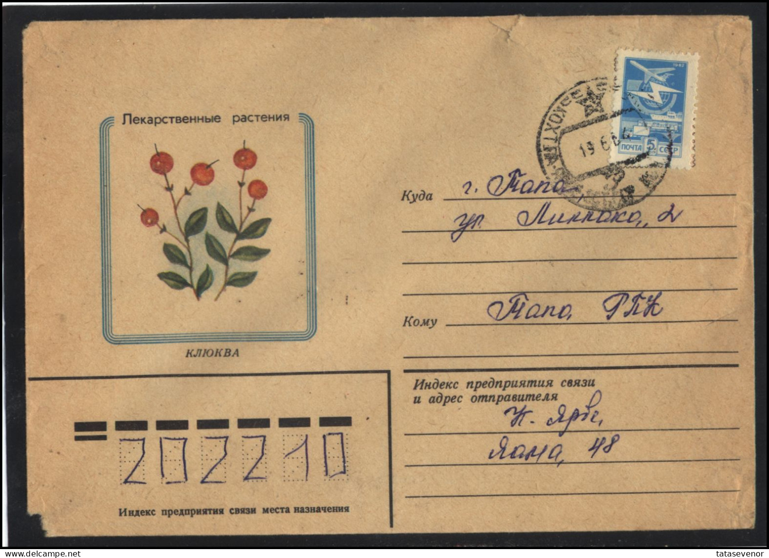 RUSSIA USSR Stationery USED ESTONIA AMBL 1263 KOHTLA-JARVE Flora Plants Herbs Cranberry - Unclassified