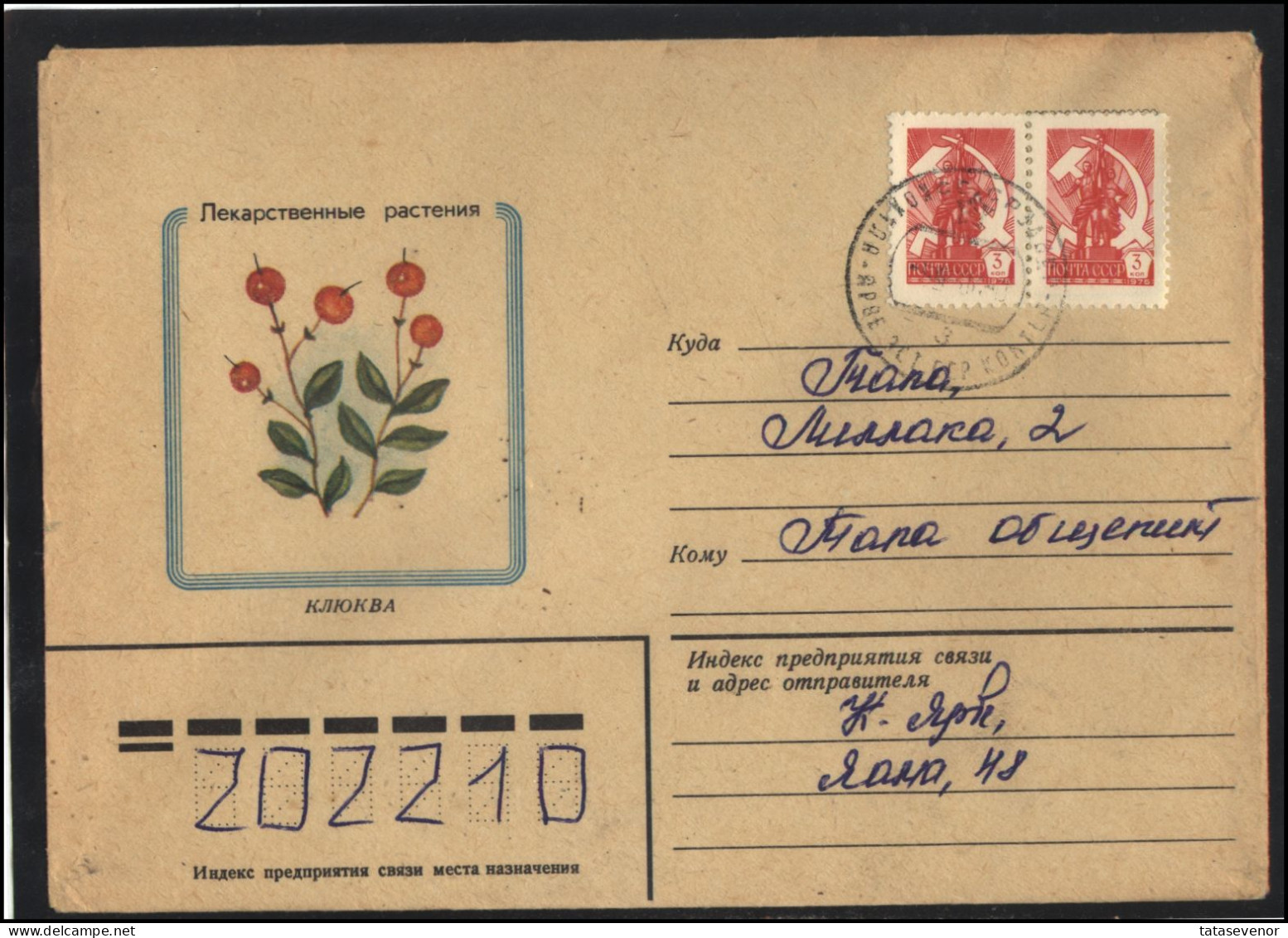RUSSIA USSR Stationery USED ESTONIA AMBL 1264 KOHTLA-JARVE Flora Plants Herbs Cranberry - Non Classés