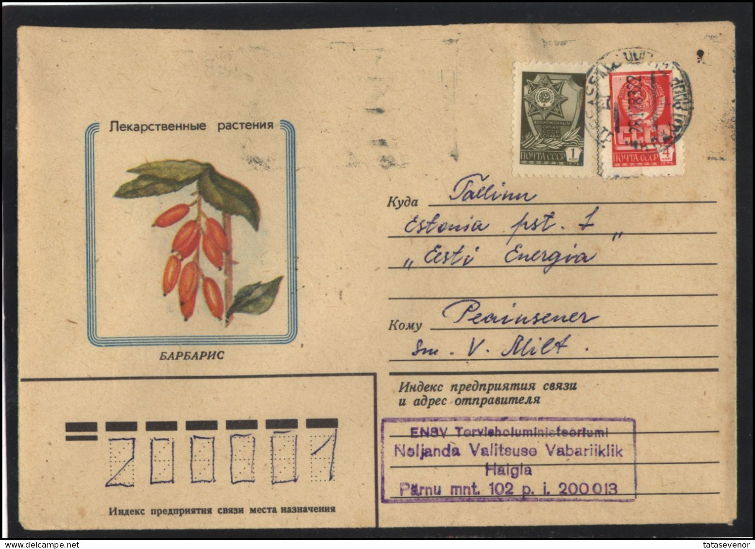 RUSSIA USSR Stationery USED ESTONIA AMBL 1265 TALLINN Flora Plants Herbs Berberis - Unclassified