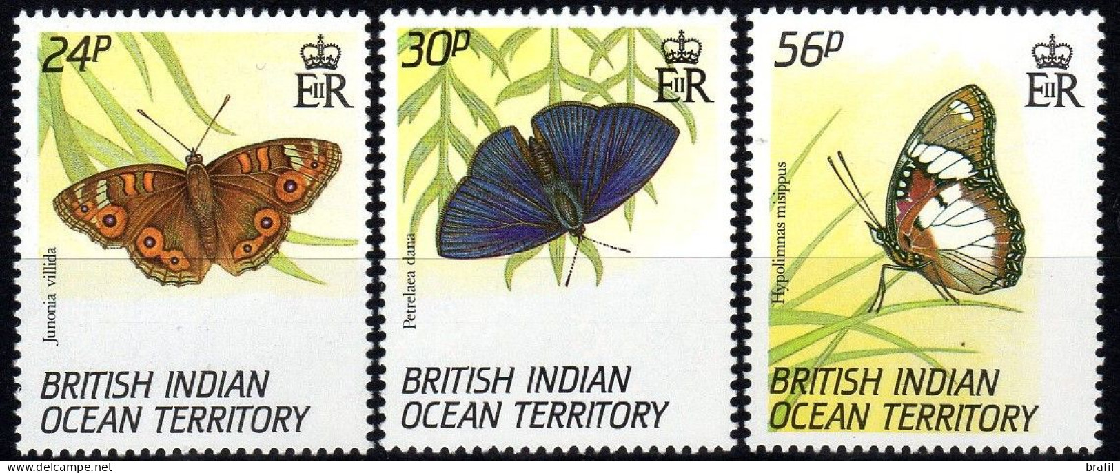 1994 Territorio Britannico Oceano Indiano, Farfalle E Insetti, Serie Completa Nuova (**) - Territorio Británico Del Océano Índico