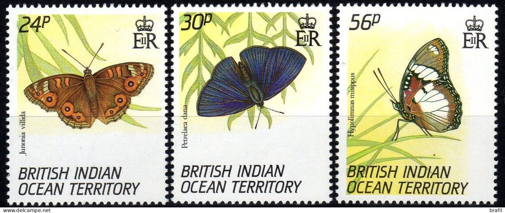 1994 Territorio Britannico Oceano Indiano, Farfalle E Insetti, Serie Completa Nuova (**) - British Indian Ocean Territory (BIOT)