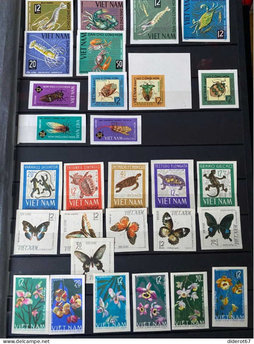 Lot de timbres Vietnam du nord neufs non dentelés