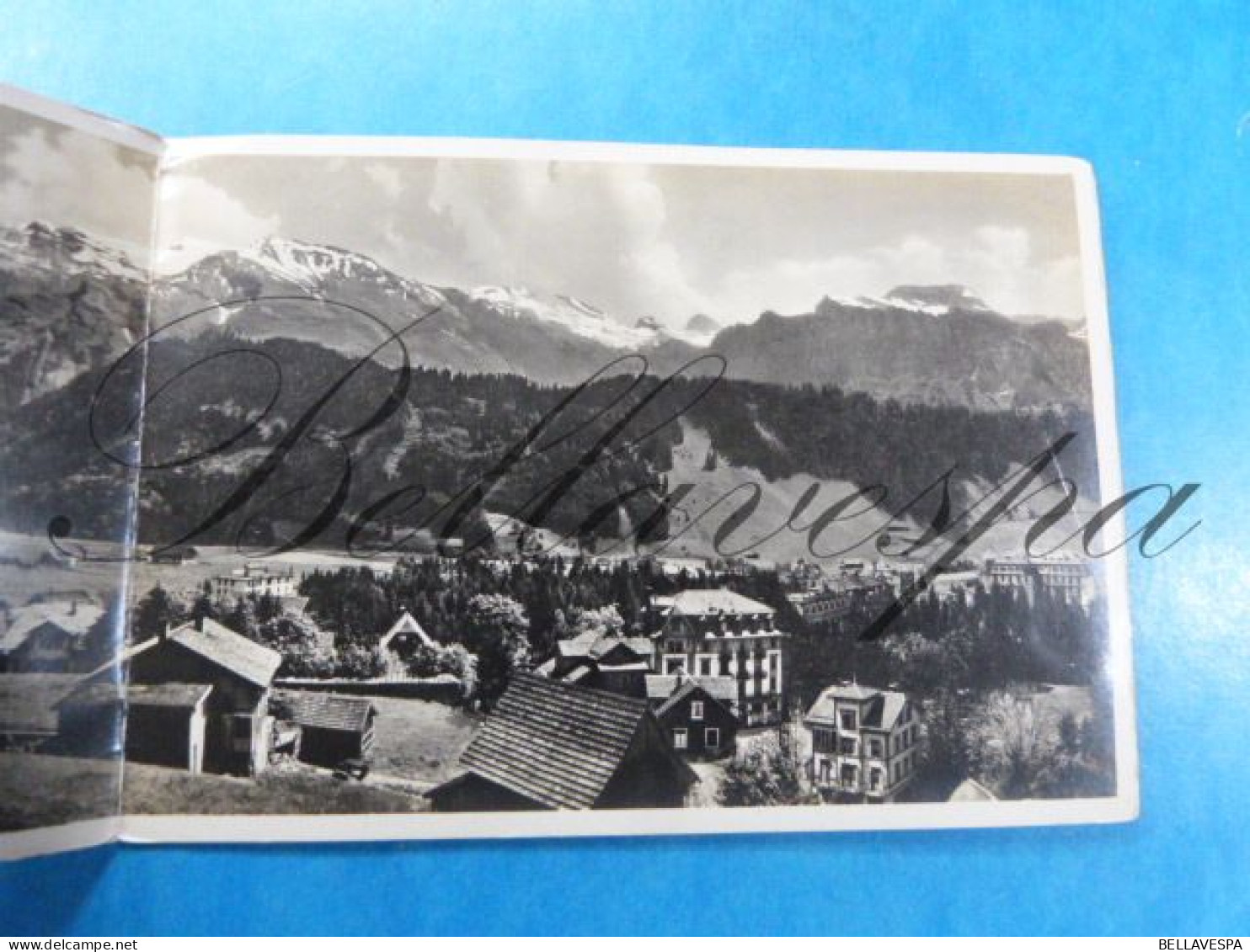 Engelberg Panorama Hotel Edelweiss Belvedere Double Stereo Postcard - Engelberg