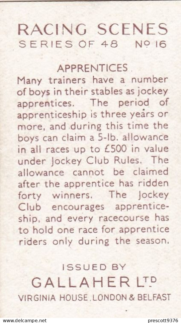 Racing Scenes 1938 - Gallaher Cigarette Card - 16 Apprentices - Gallaher