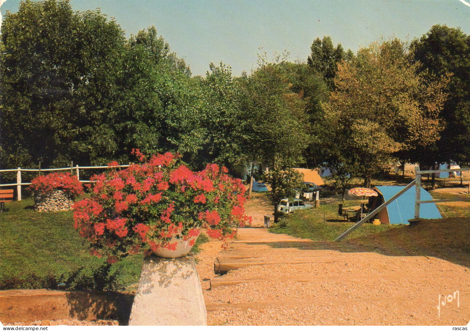 CPM - H9 - YONNE - CHENY - SON CAMPING MUNICIPAL - Cheny