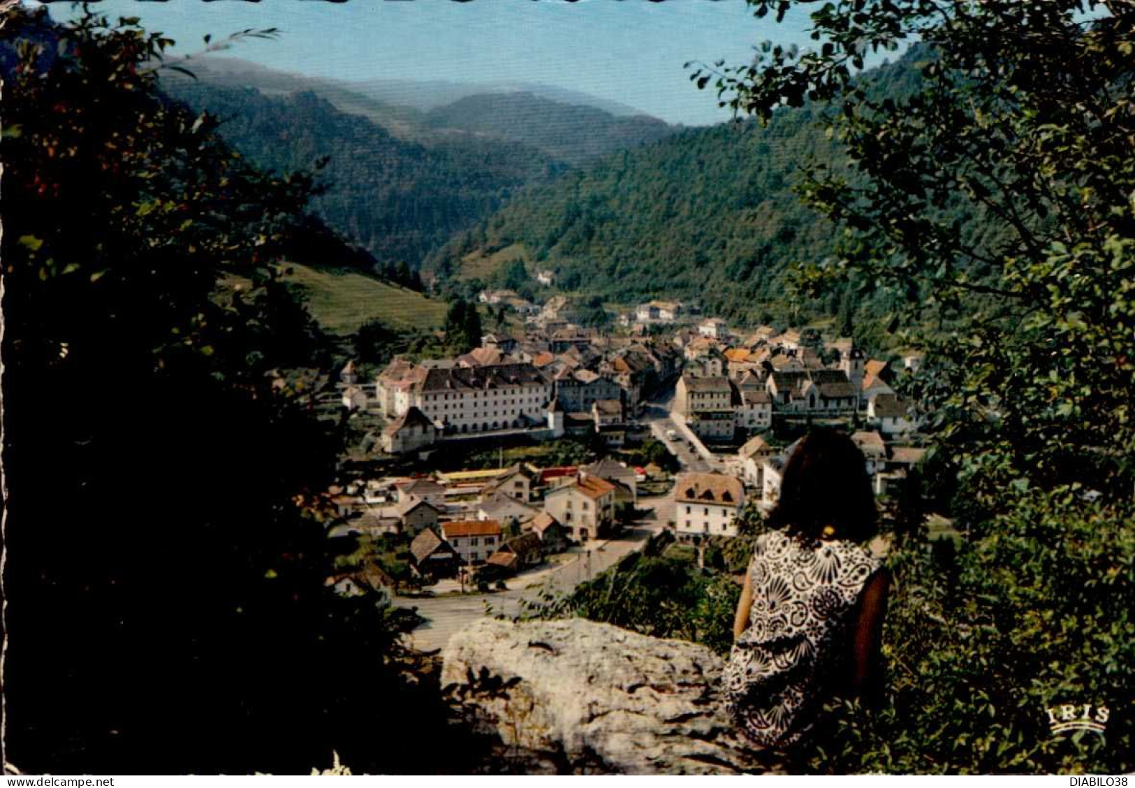 SAINT-HIPPOLYTE    ( DOUBS )   VU DEPUIS LA POTENCE - Saint Hippolyte