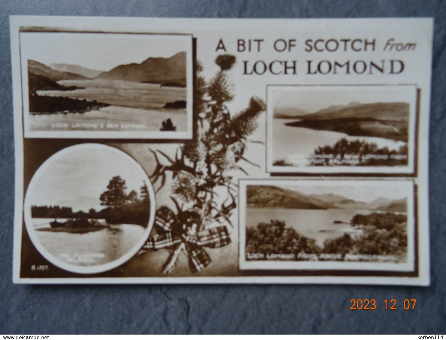 LOG LOMOND - Stirlingshire