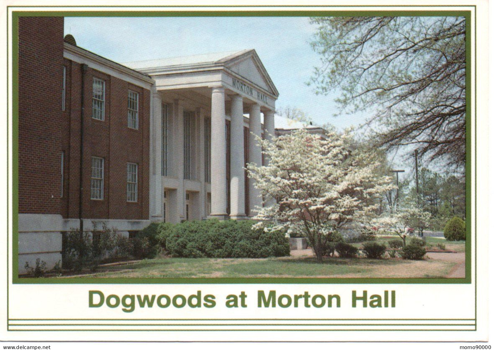 ETATS-UNIS : HUNTSVILLE : Dogswoods At Morton Hall - Huntsville