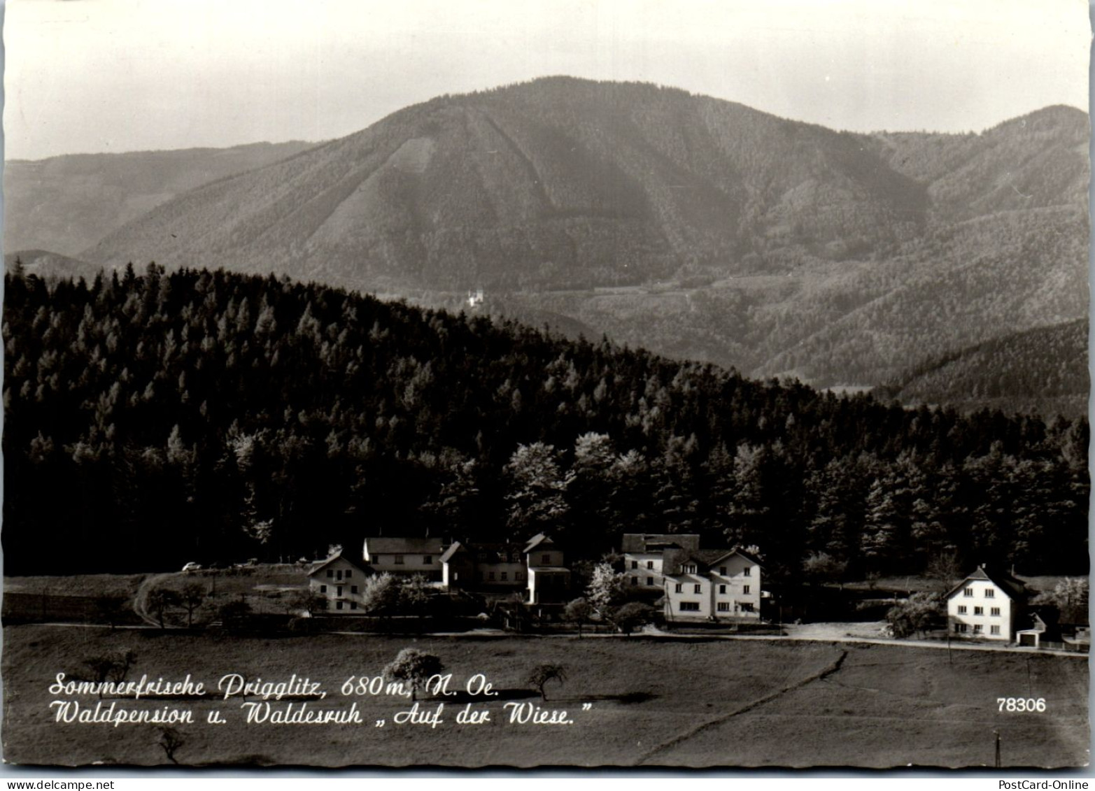 47368 - Niederösterreich - Prigglitz , Pesnion U. Waldesruh , Auf Der Wiese , Waldpension - Gelaufen 1967 - Neunkirchen