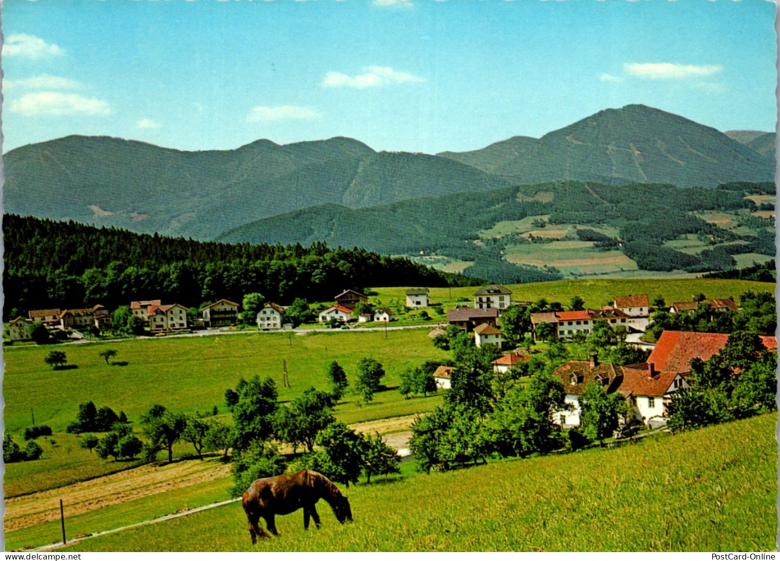 47370 - Niederösterreich - Prigglitz , Auf Der Wiesen , Auf Der Wiese - Gelaufen 1983 - Neunkirchen