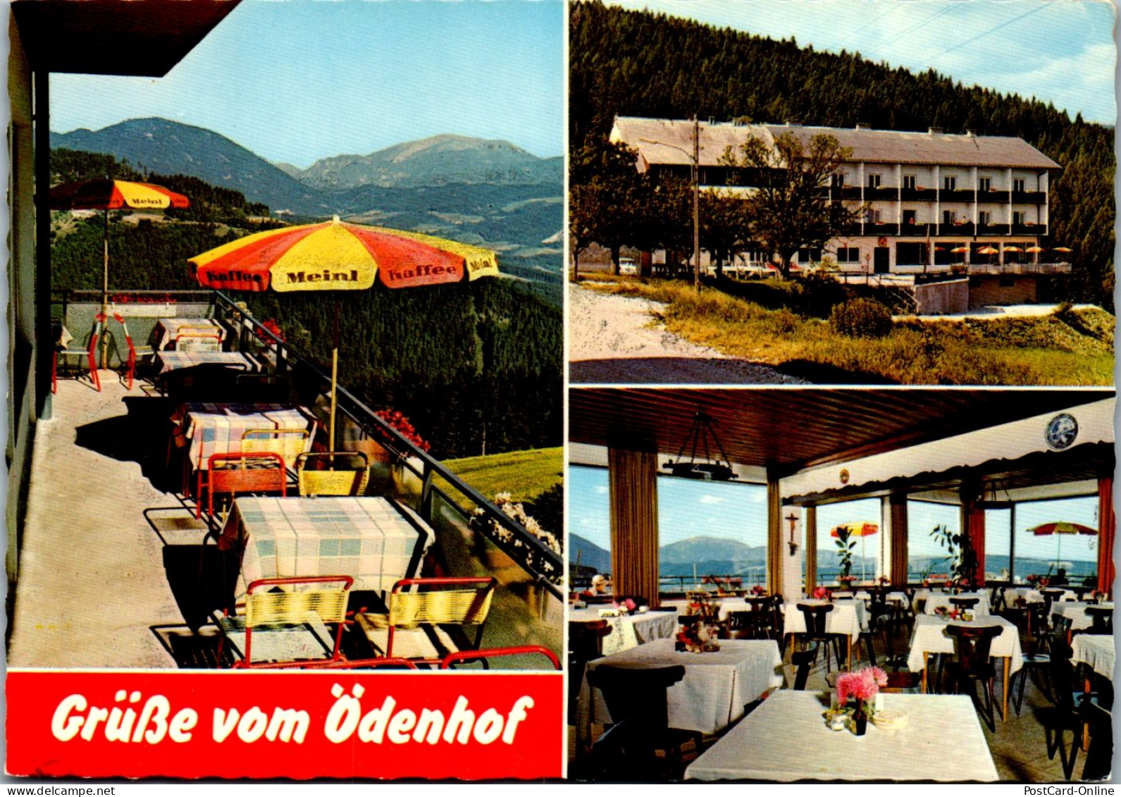 47294 - Niederösterreich - St. Corona Am Wechsel , Gasthof Ödenhof , W. U. L. Gruber, Terrasse - Nicht Gelaufen  - Wechsel