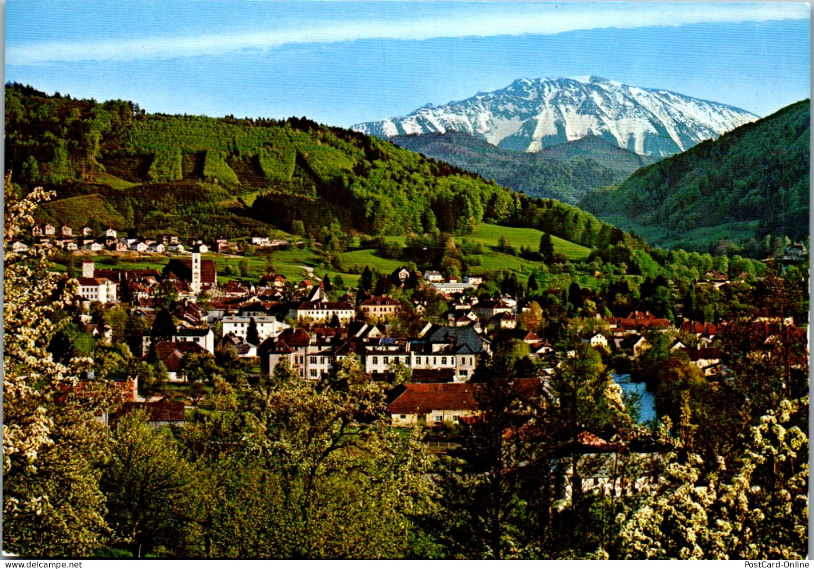 47289 - Niederösterreich - Scheibbs , Mit Ötscher , Panorama - Gelaufen  - Scheibbs