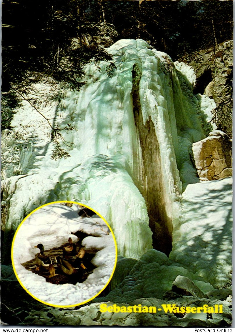 47206 - Niederösterreich - Puchberg Am Schneeberg , Sebastian Wasserfall - Gelaufen  - Schneeberggebiet