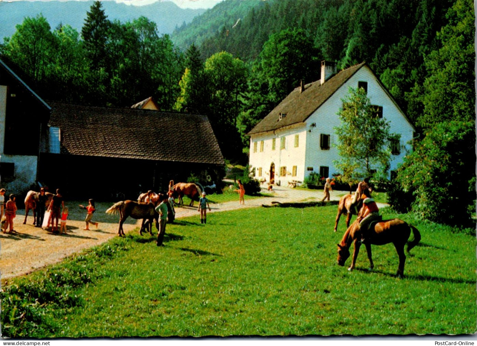 47194 - Niederösterreich - Opponitz , Haflingerhof Gerda Krieger - Gelaufen 1981 - Amstetten