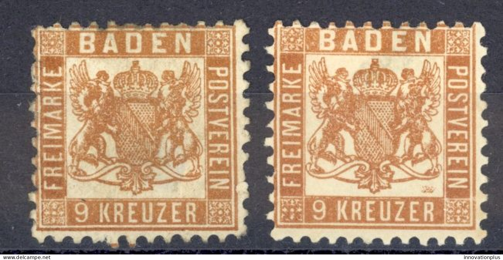 Germany Baden Sc# 23-23a MH 1862-1865 9kr Brown & Bister Coat Of Arms - Nuovi